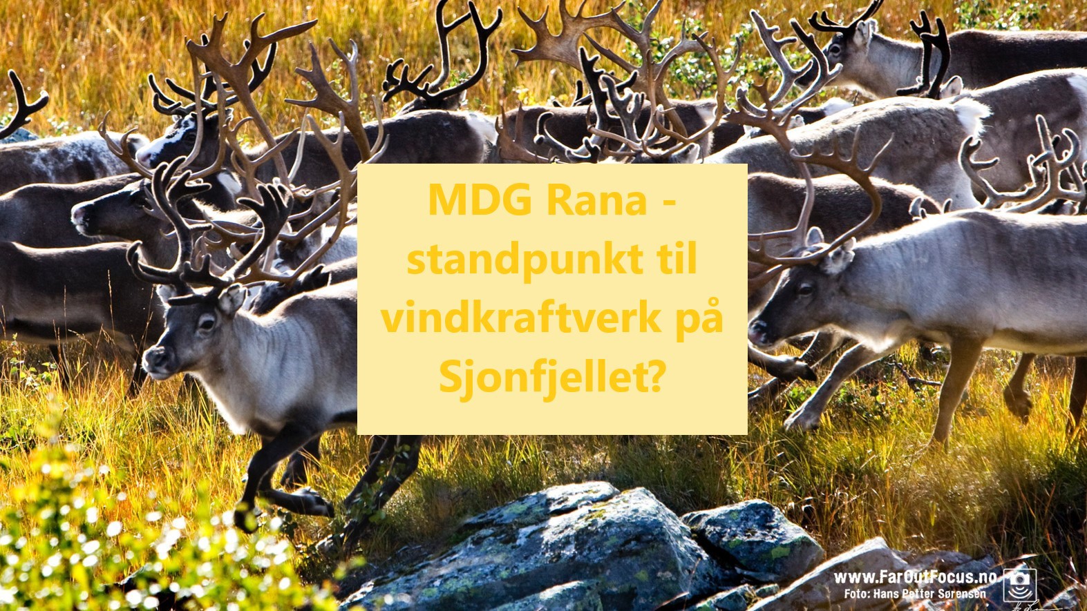 Hva sier MDG Rana om vindkraftverk på Sjonfjellet?