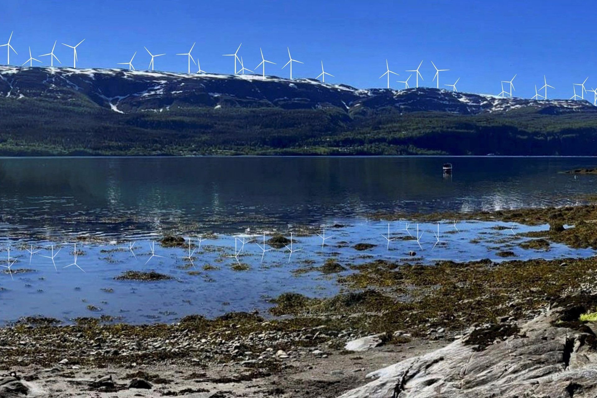 Leserinnlegg av Eli Karin Vandbakk 21/3-23