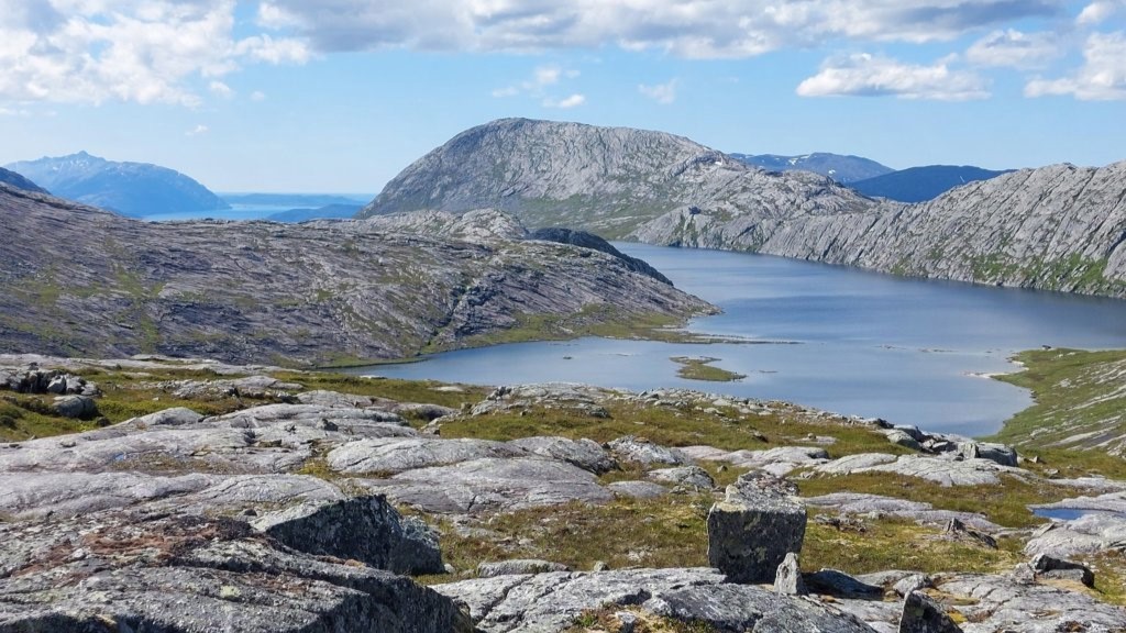 Posisjonering før fornybardirektivet kommer