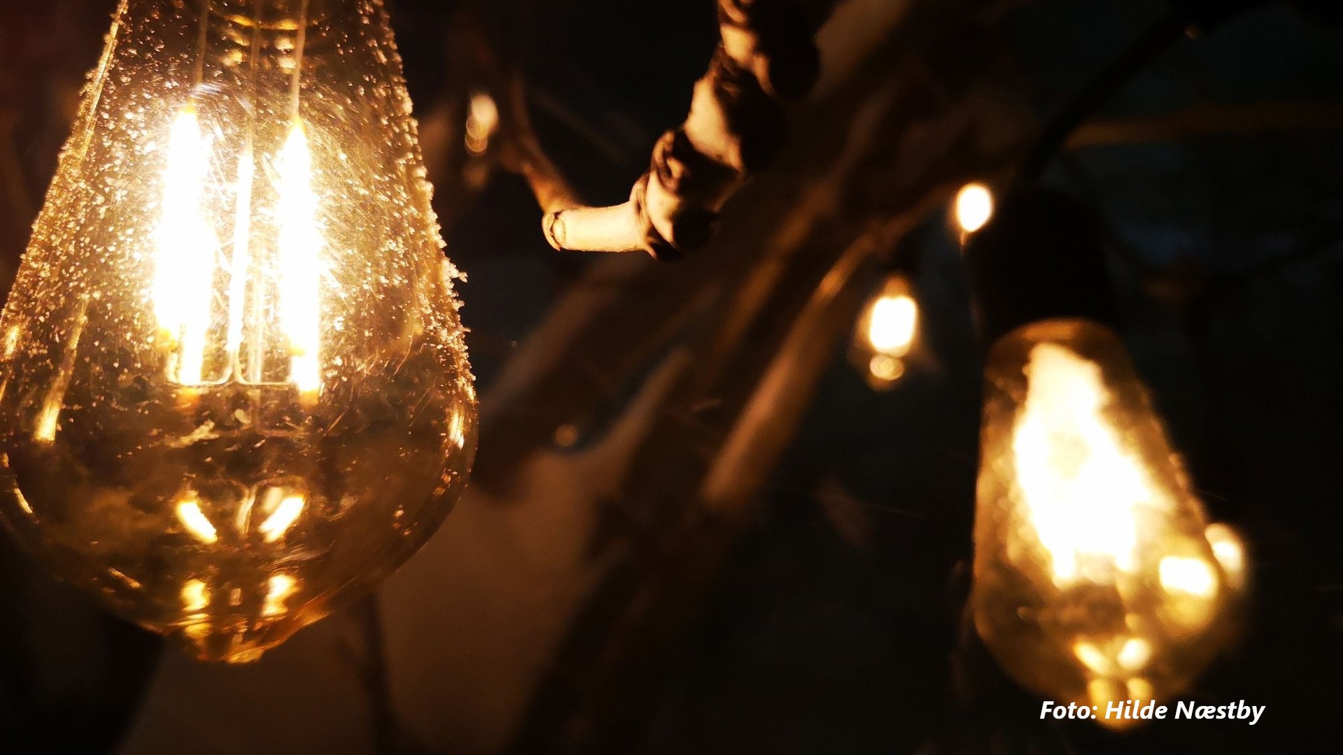 Leserbrev: Hilde Næstby 15/12-24 